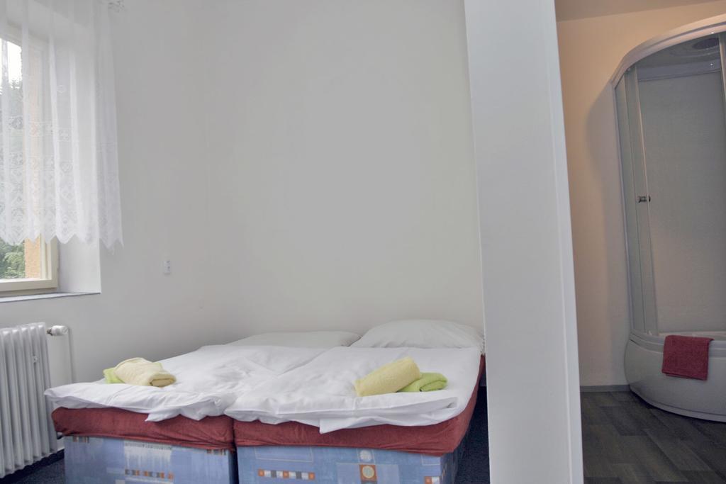 Sport Hotel Mustek Jachymov Εξωτερικό φωτογραφία